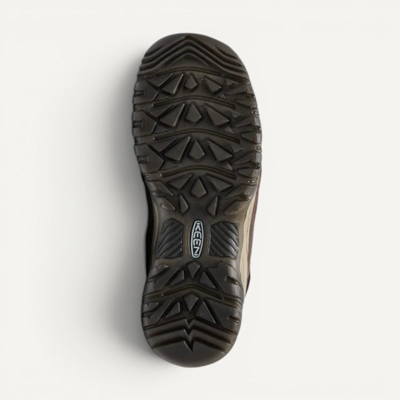 Targhee IV Waterproof Brown