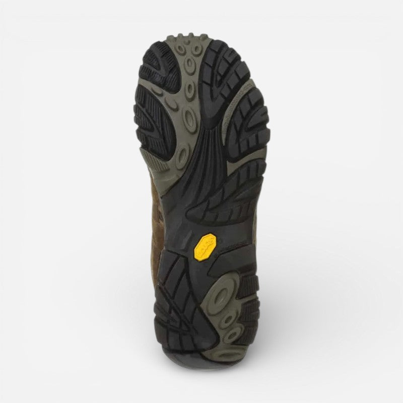 Men's Moab 2 Mid Gtx Earth
