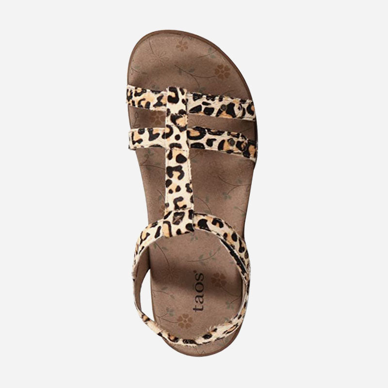Taos Footwear Trophy 2
