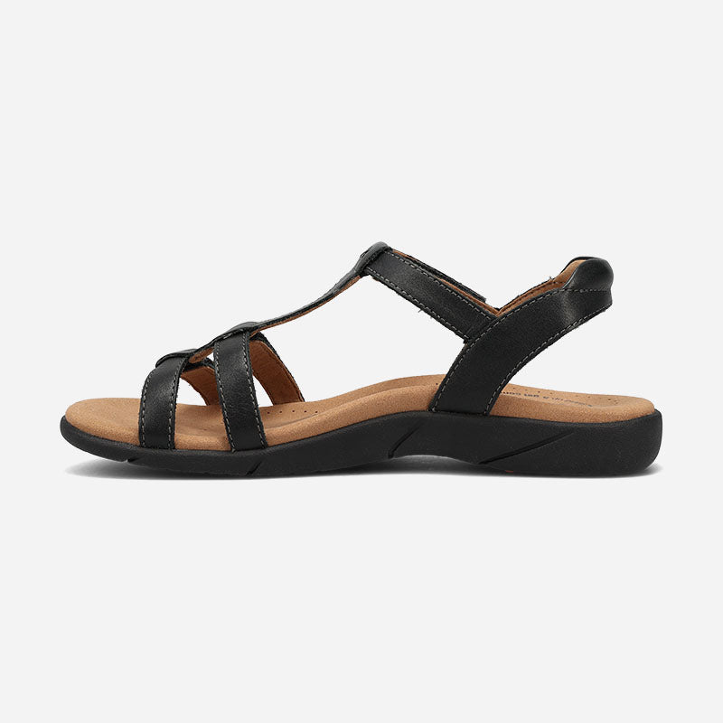 Taos Footwear Trophy 2