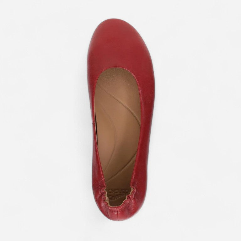 Dansko Mollie
