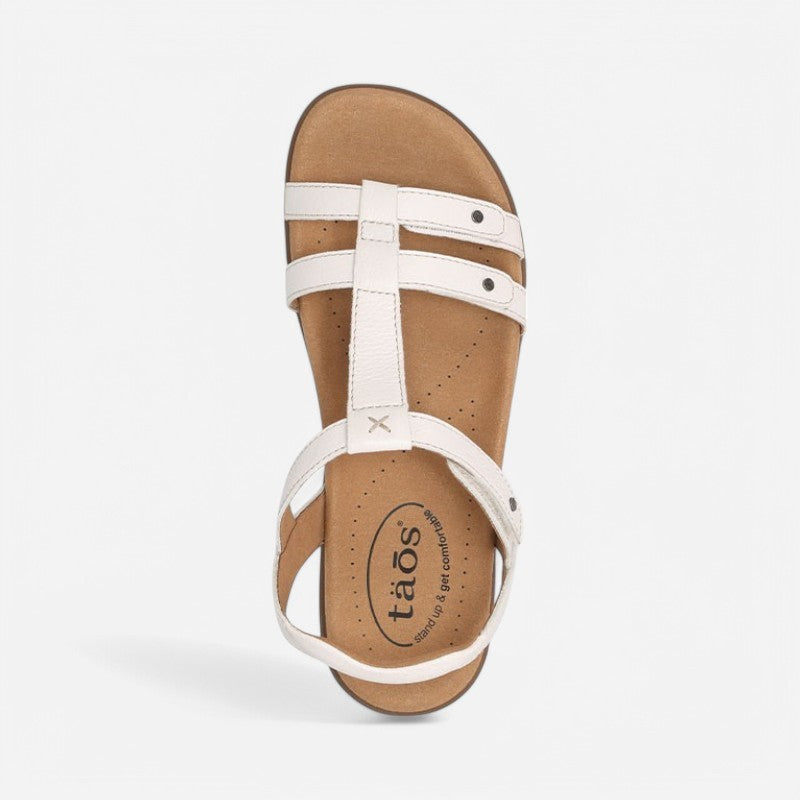 Taos Footwear Trophy 2