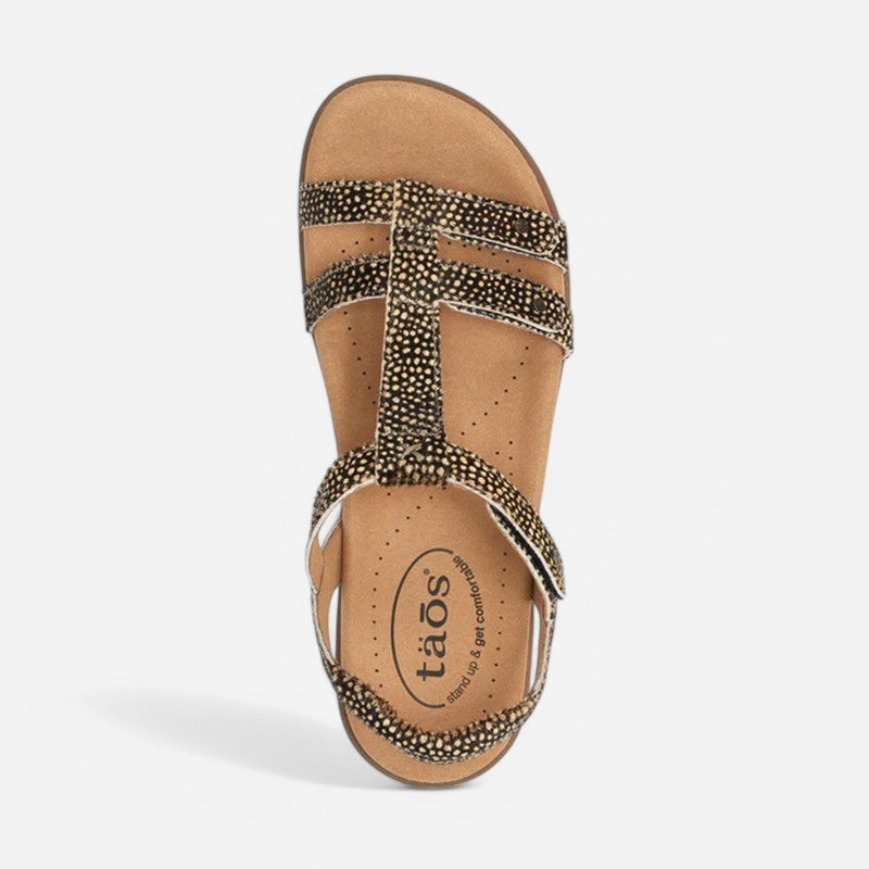 Taos Footwear Trophy 2