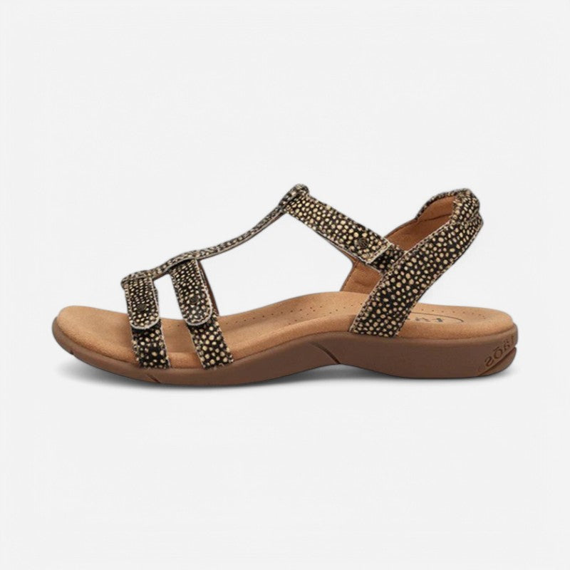 Taos Footwear Trophy 2