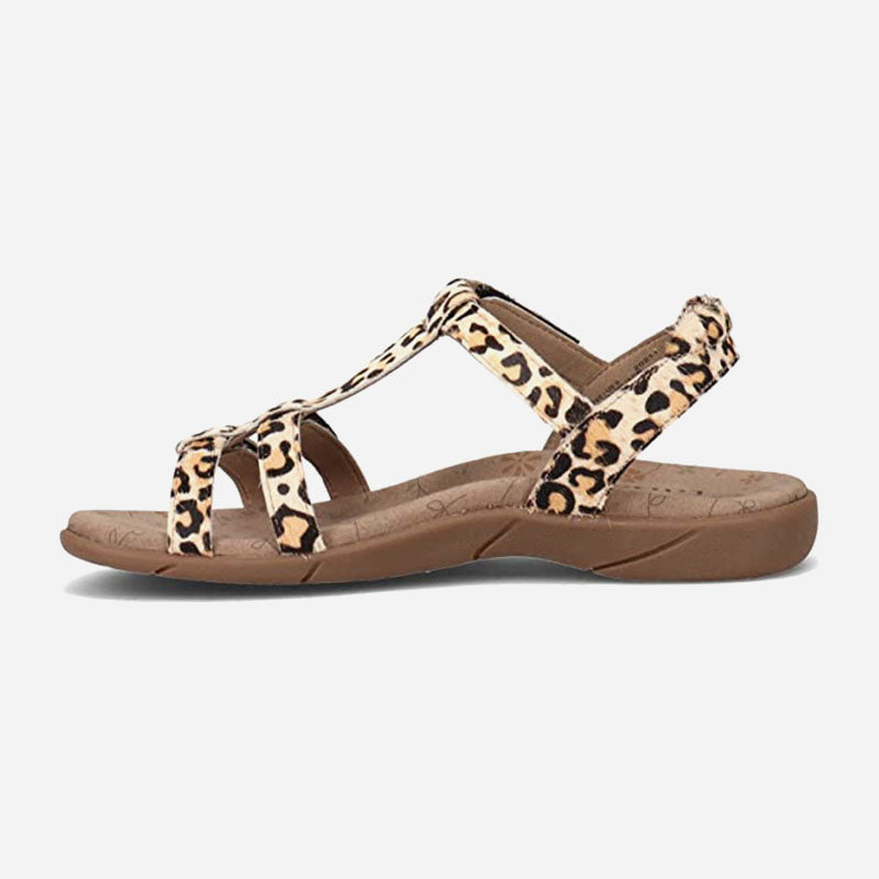 Taos Footwear Trophy 2