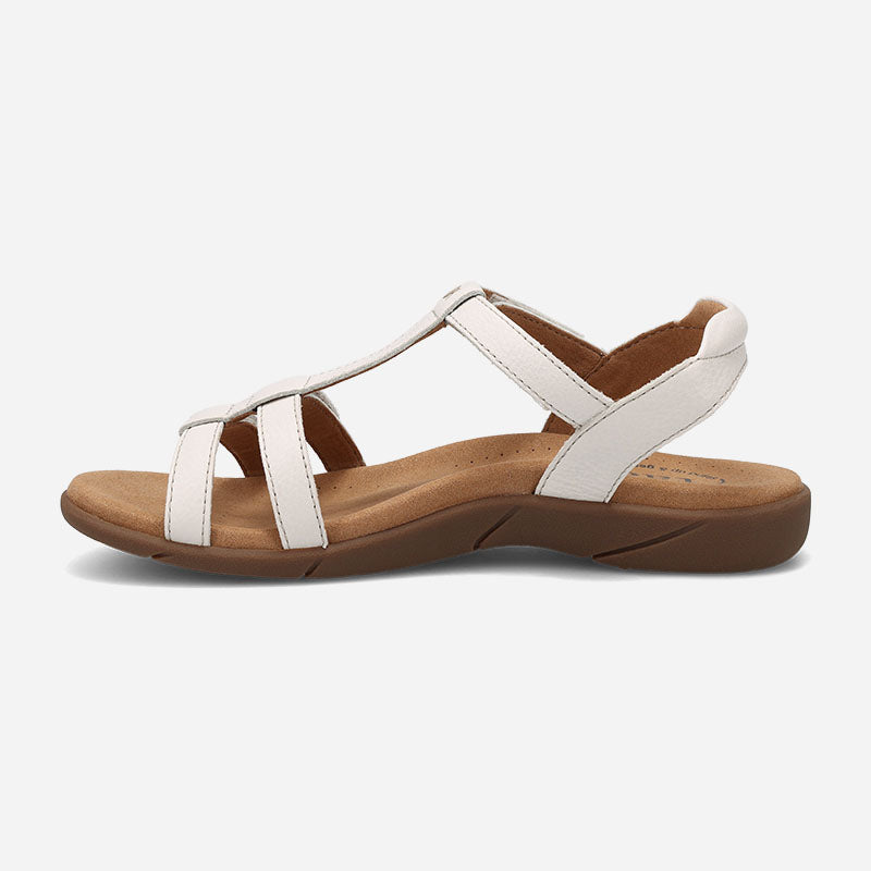 Taos Footwear Trophy 2