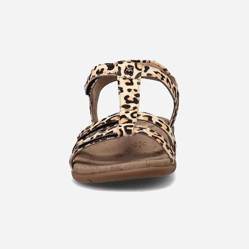 Taos Footwear Trophy 2