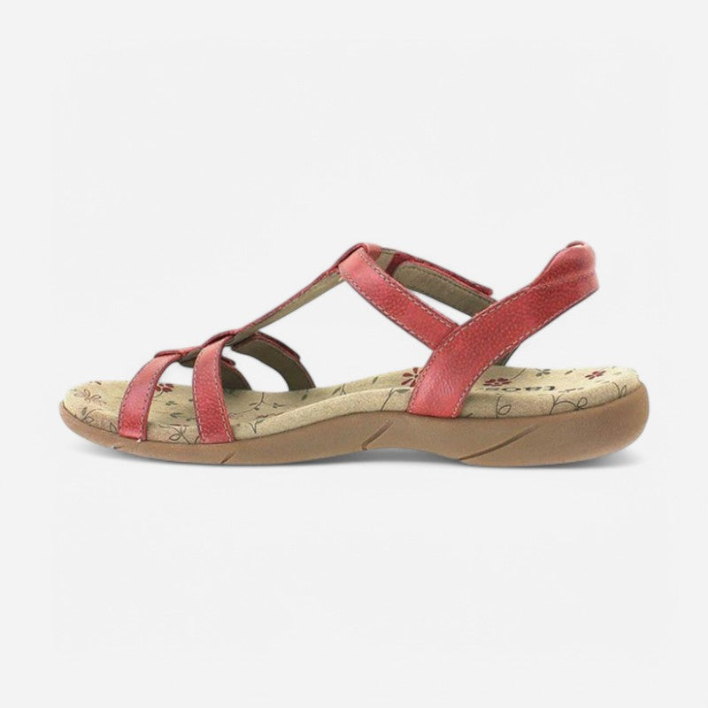 Taos Footwear Trophy 2