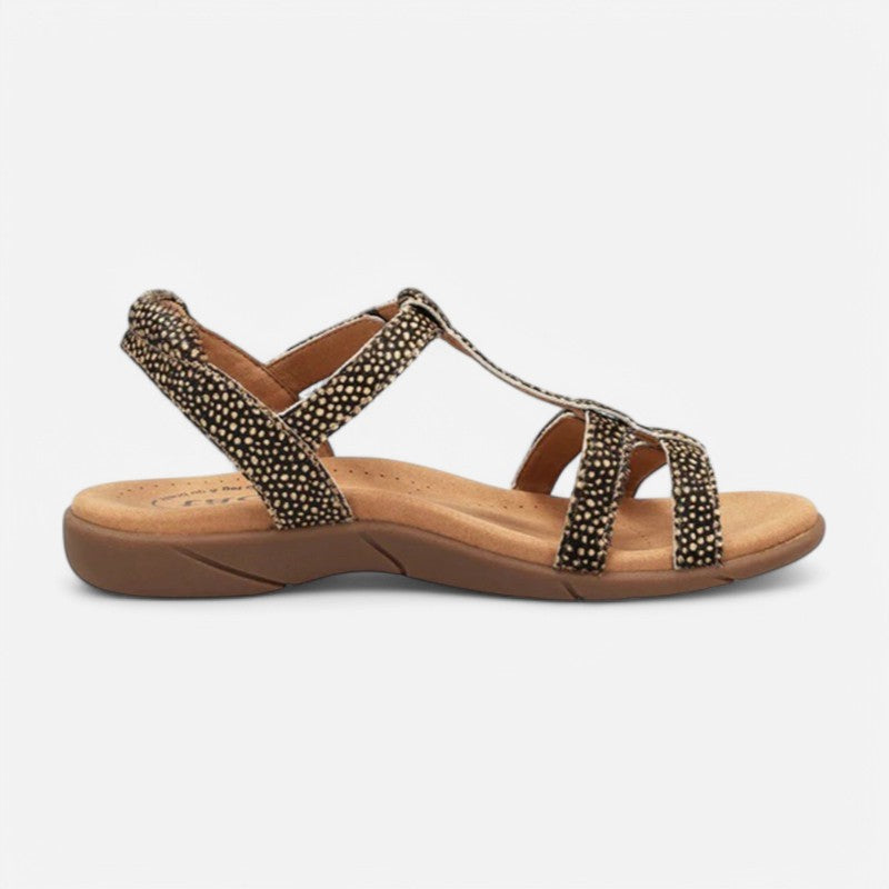 Taos Footwear Trophy 2