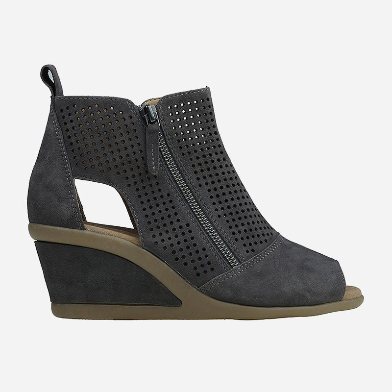 Earth Origins Cosmos