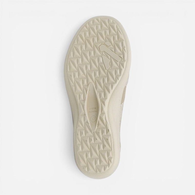 Acadia Sahara Seashell