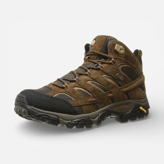 Men's Moab 2 Mid Gtx Earth