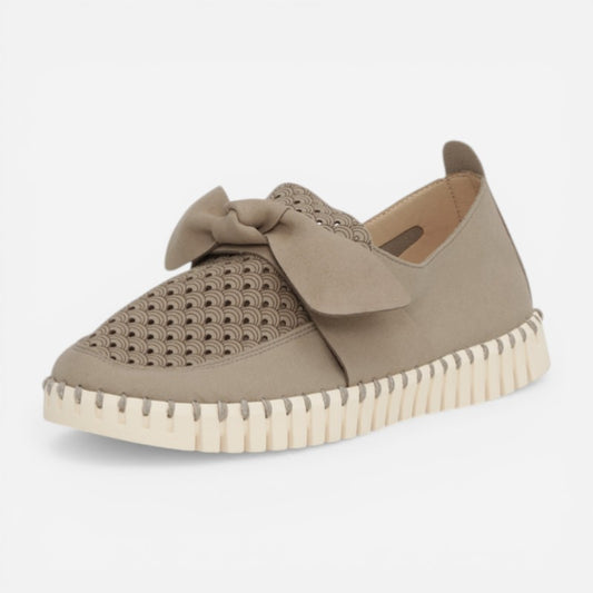 TULIP 4086 CORIANDER