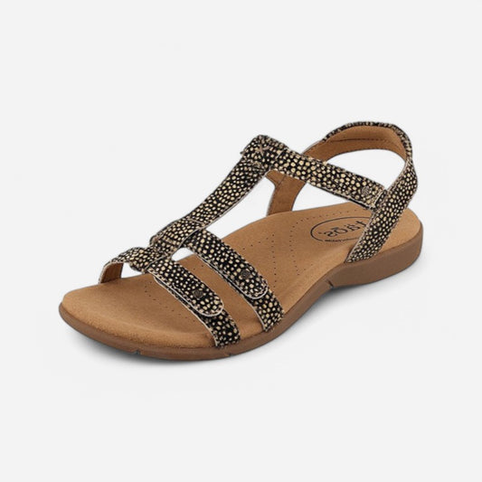 Taos Footwear Trophy 2