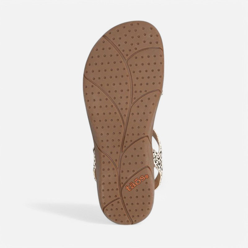 Taos Footwear Trophy 2