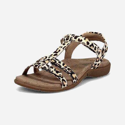 Taos Footwear Trophy 2