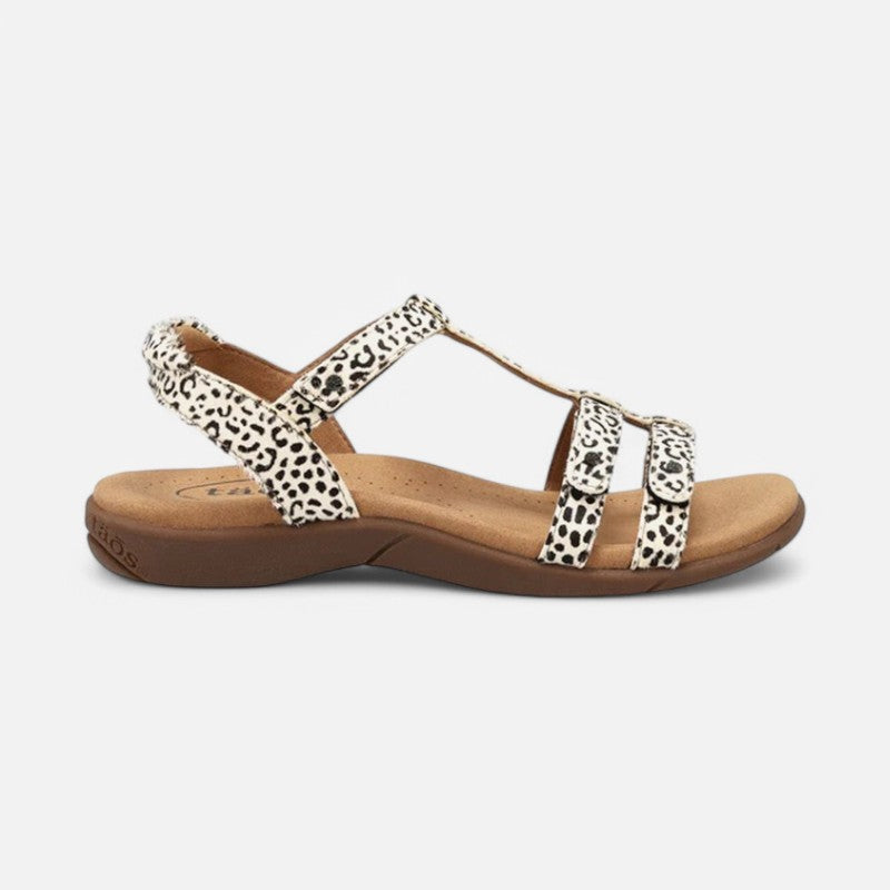 Taos Footwear Trophy 2