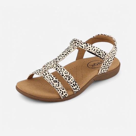 Taos Footwear Trophy 2