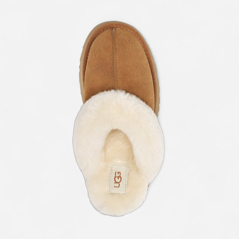 Women's Disquette Chestnut