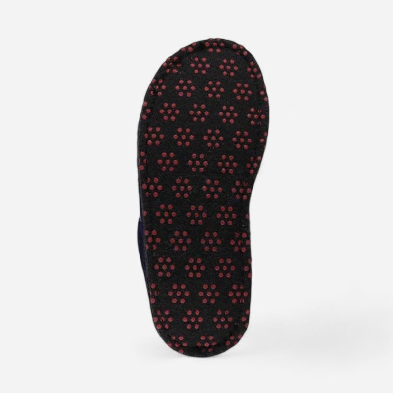 Haflinger Flair Fido