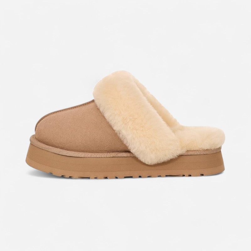 Ugg Disquette