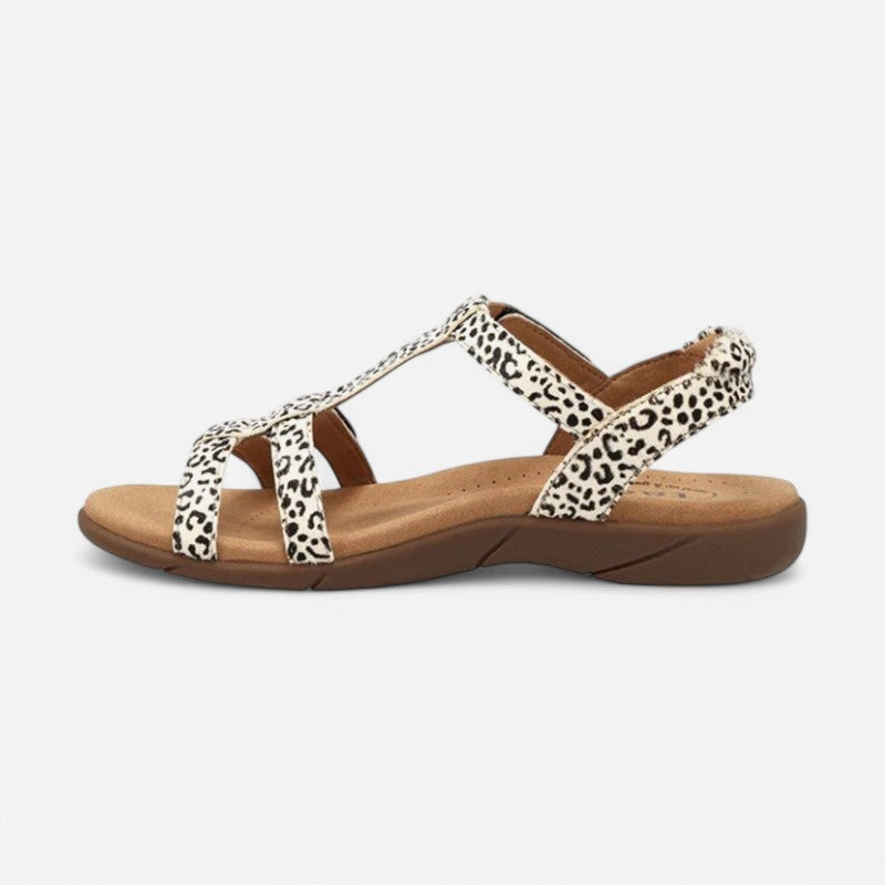 Taos Footwear Trophy 2