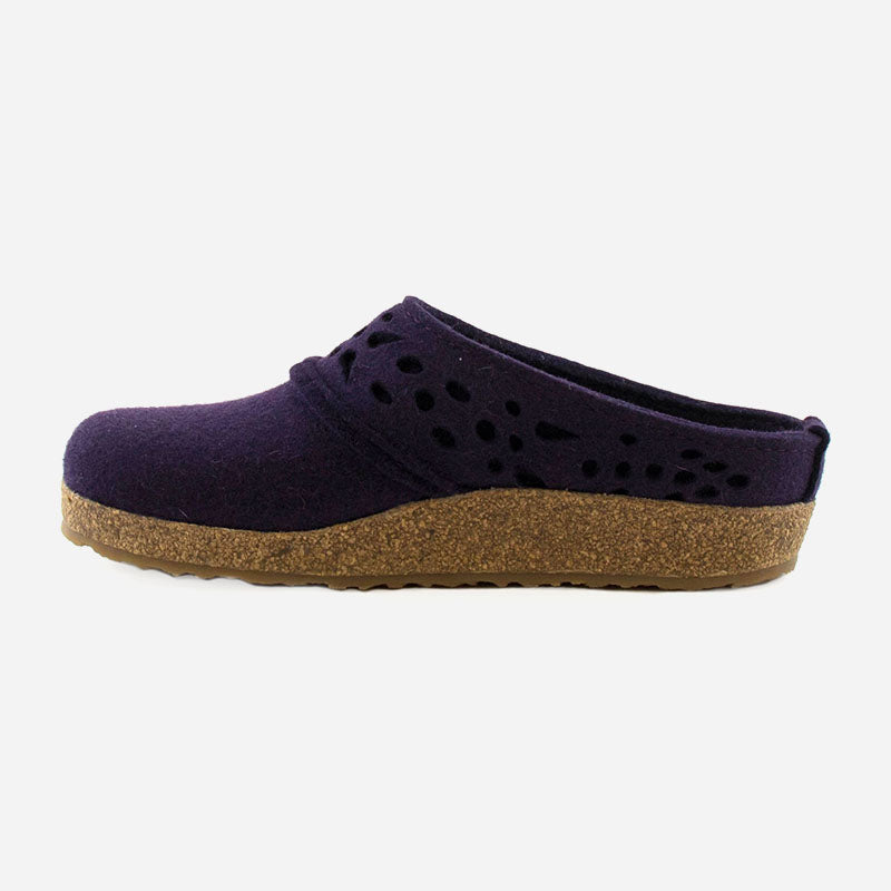 Haflinger Lacey