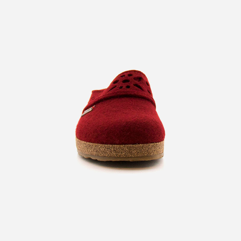 Haflinger Lacey