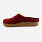 Haflinger Lacey