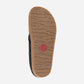 Haflinger Lacey