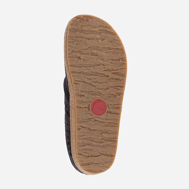 Haflinger Lacey