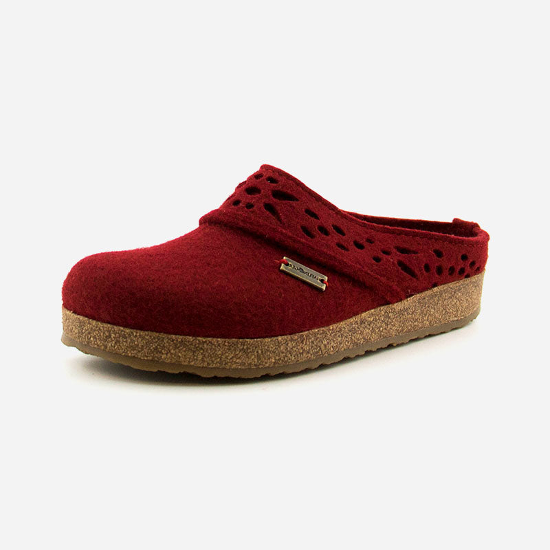 Haflinger Lacey