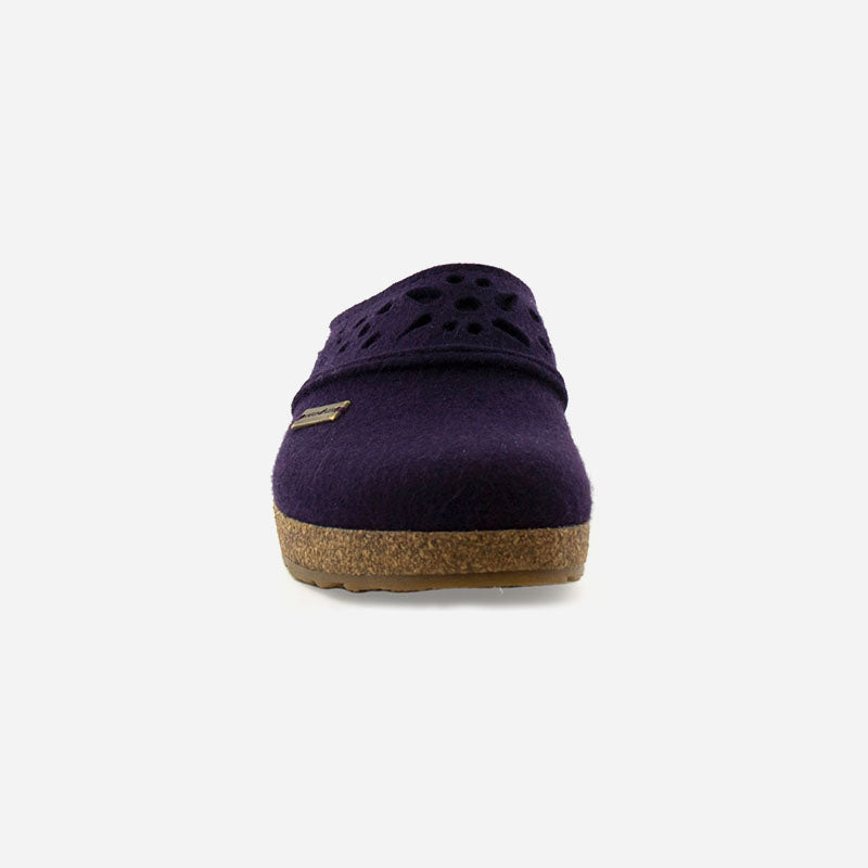 Haflinger Lacey
