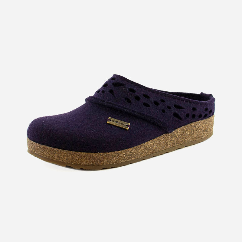 Haflinger Lacey